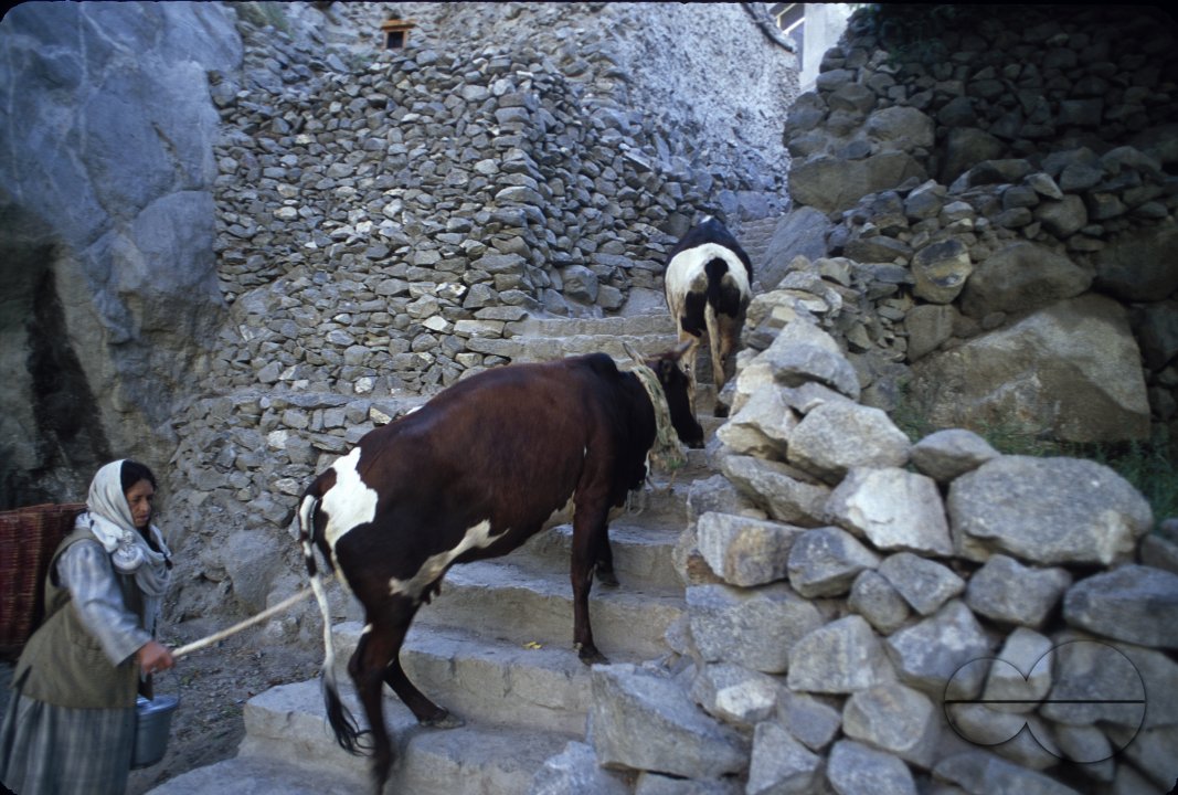 MWC003090