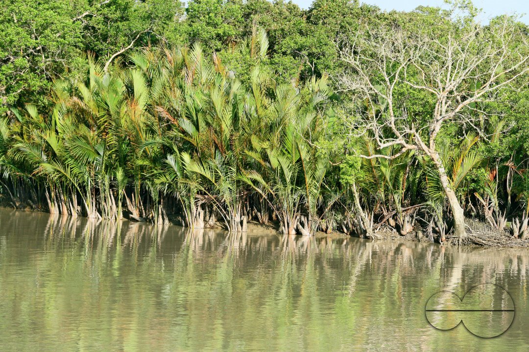 Sundarbans, Khulna