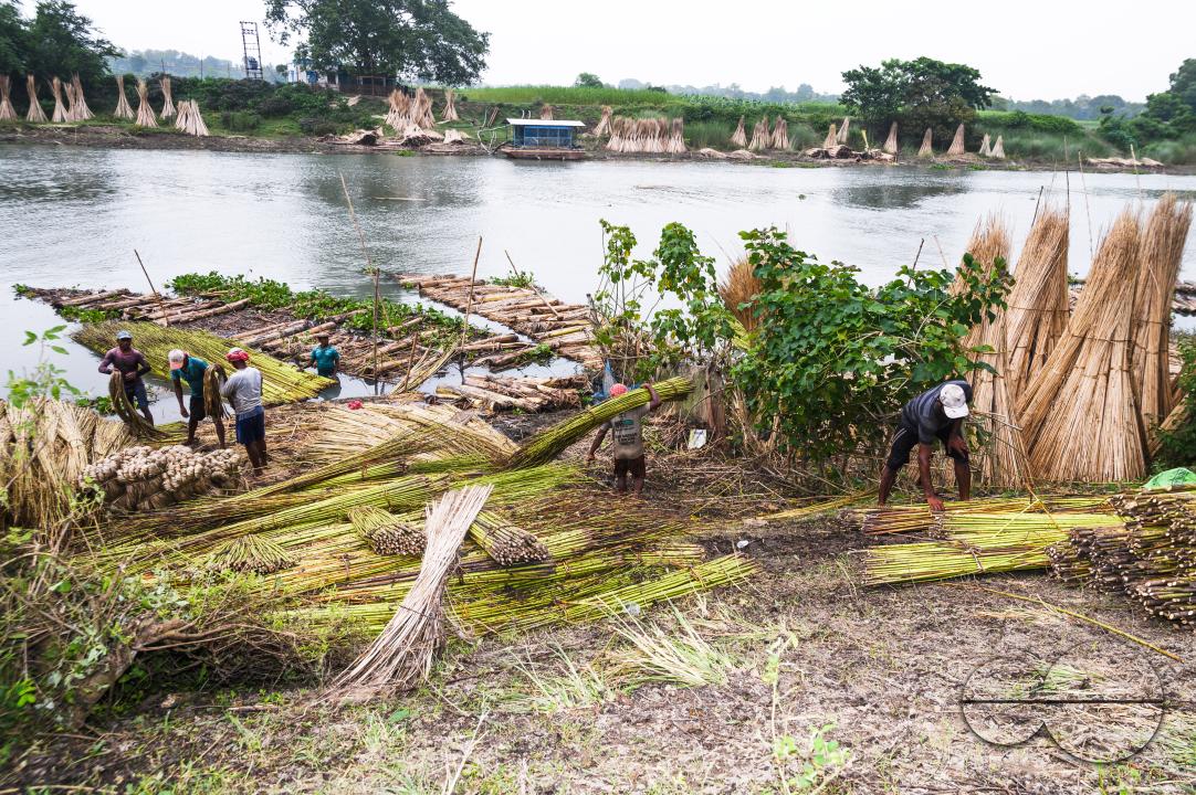 The Asia Pacific region, led by major jute producer India, dominates the Jute Bags Market