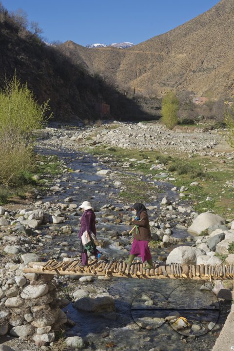 MWC033604