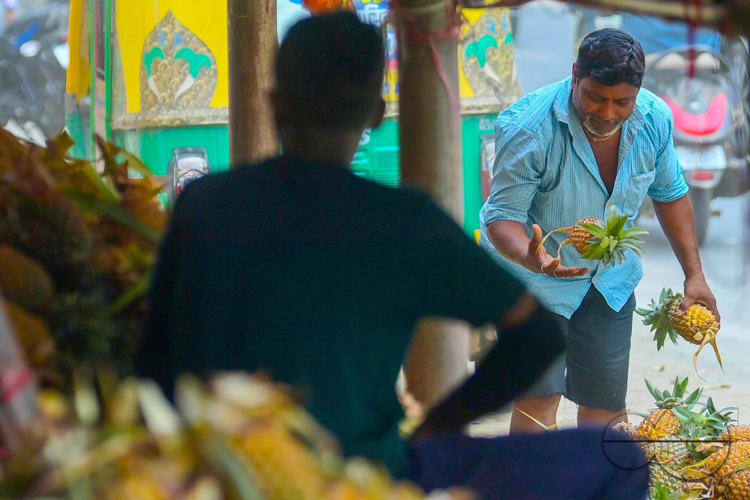 A city dweller purchases pineapple, a renowned summer fruit of Tripura, from a vendor's stall at a bustling roadside fruit market in Agartala