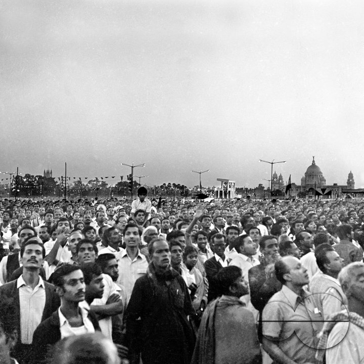 MWC008131