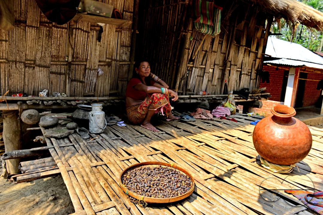 Totos are one of the most primitive communities in the world and this isolated tribal group resides only in Totopara at the foot of the Himalayas just to the borderline between West Bengal and Bhutan