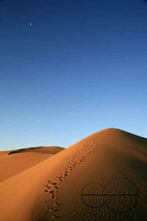 MWC023120