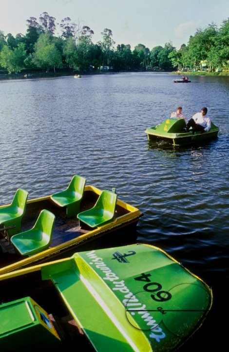 Kodai Lake, India