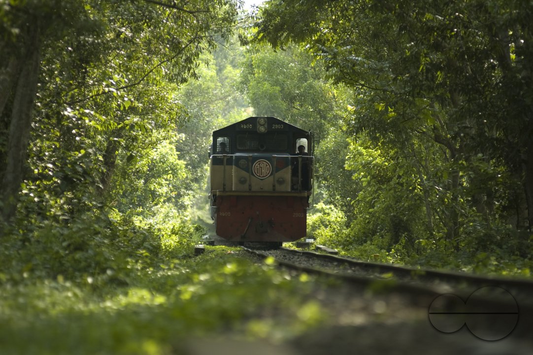 MWC004569
