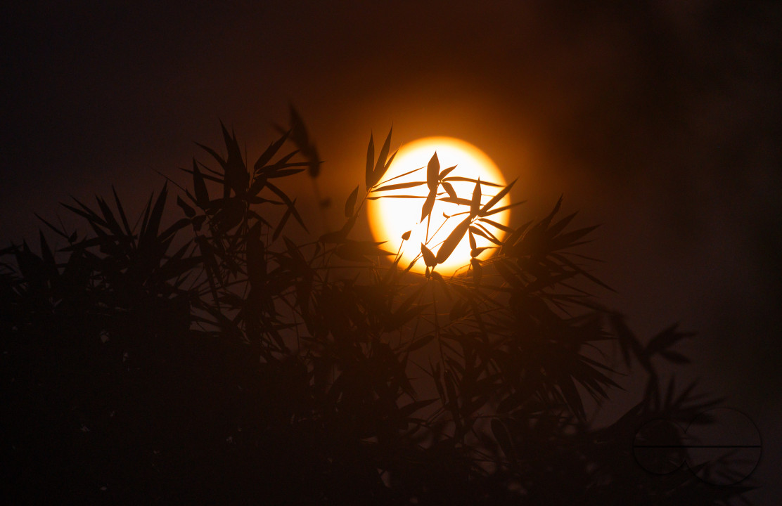 September Full Moon - Harvest Moon