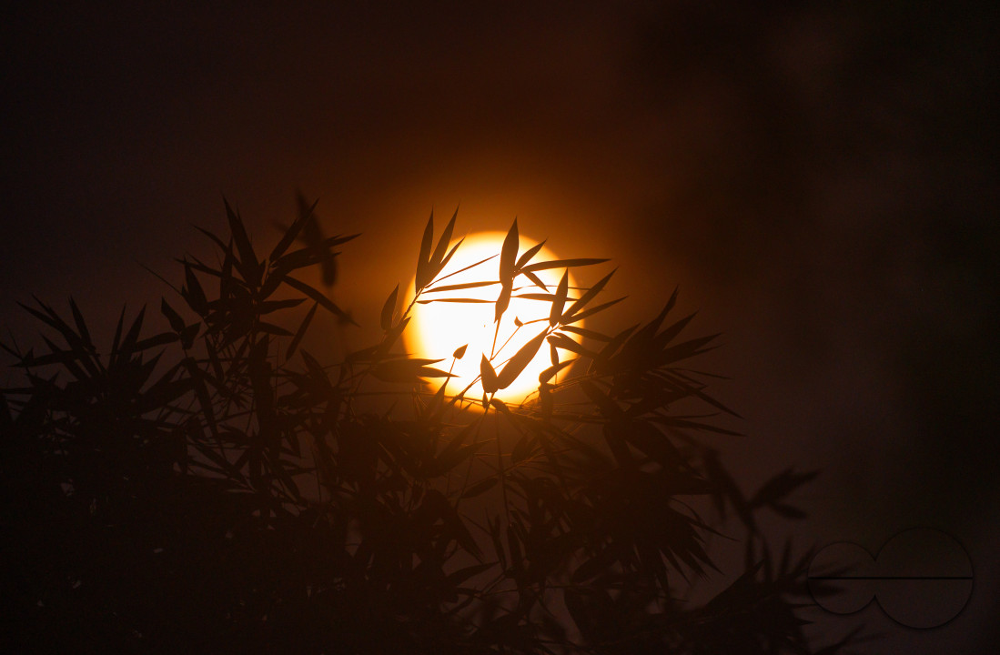 September Full Moon - Harvest Moon