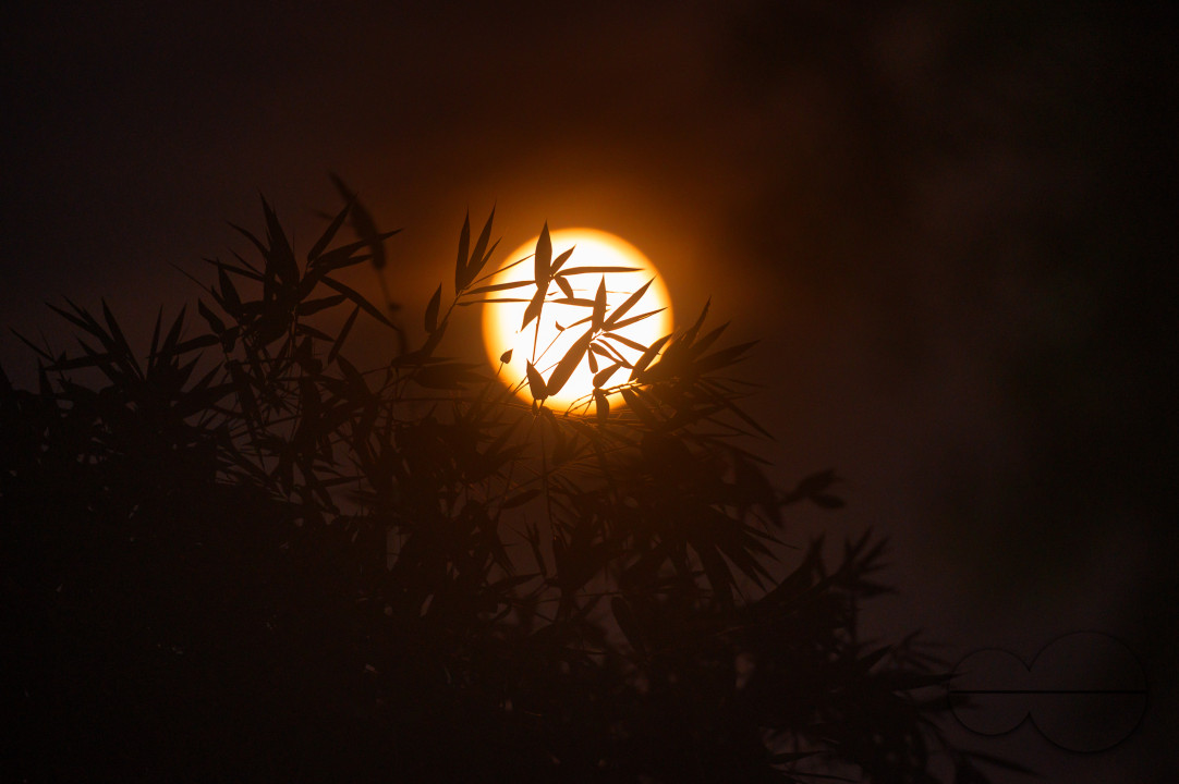 September Full Moon - Harvest Moon