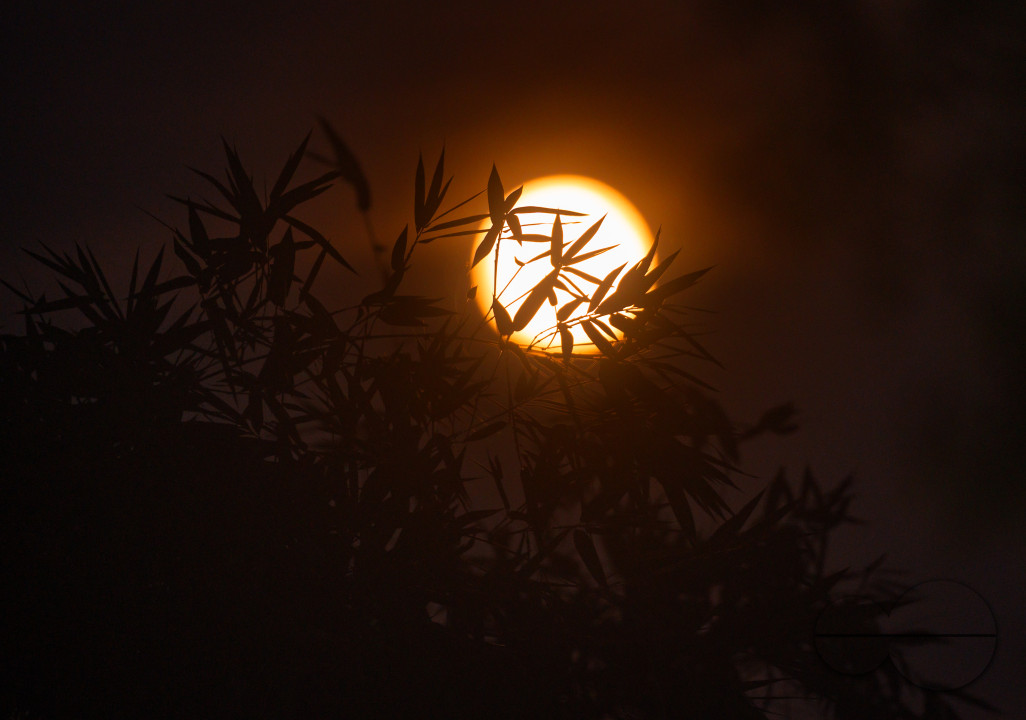 September Full Moon - Harvest Moon
