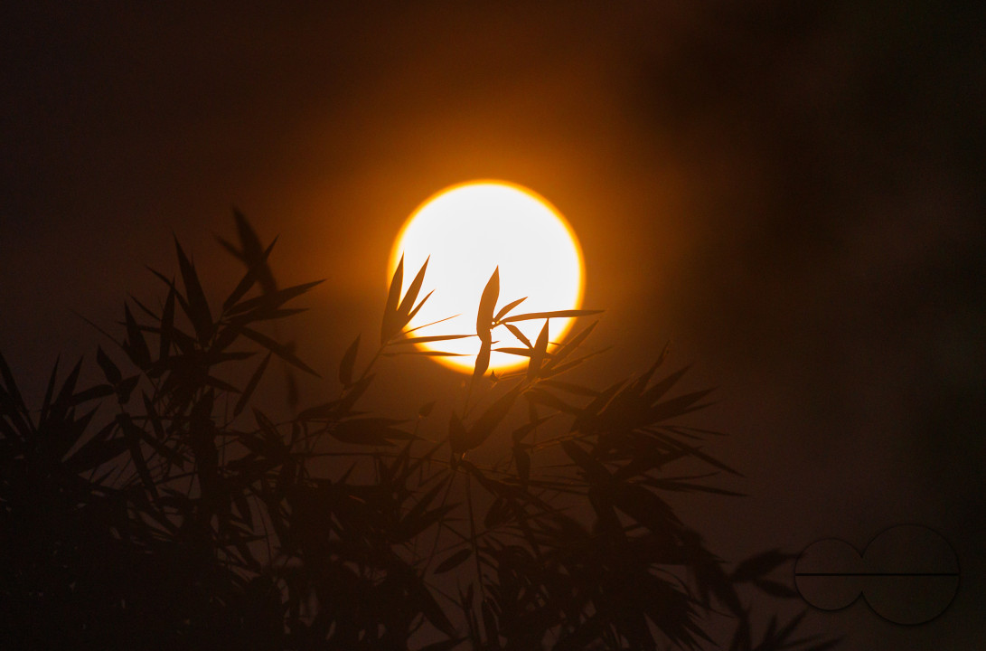 September Full Moon - Harvest Moon