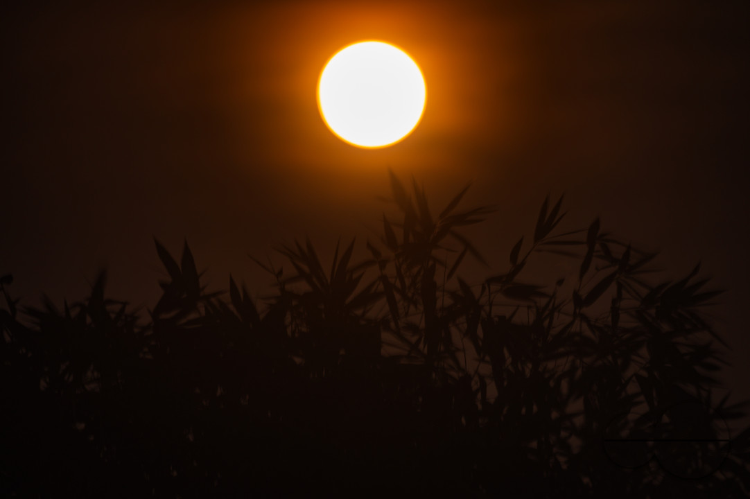 September Full Moon - Harvest Moon