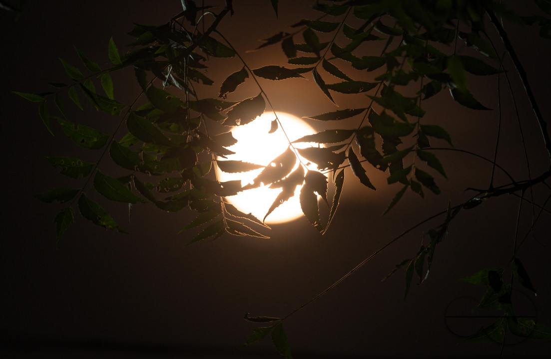 September Full Moon - Harvest Moon