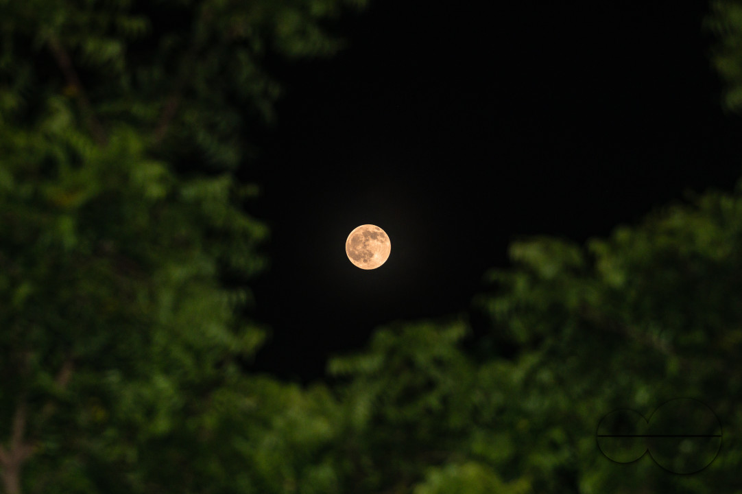 September Full Moon - Harvest Moon