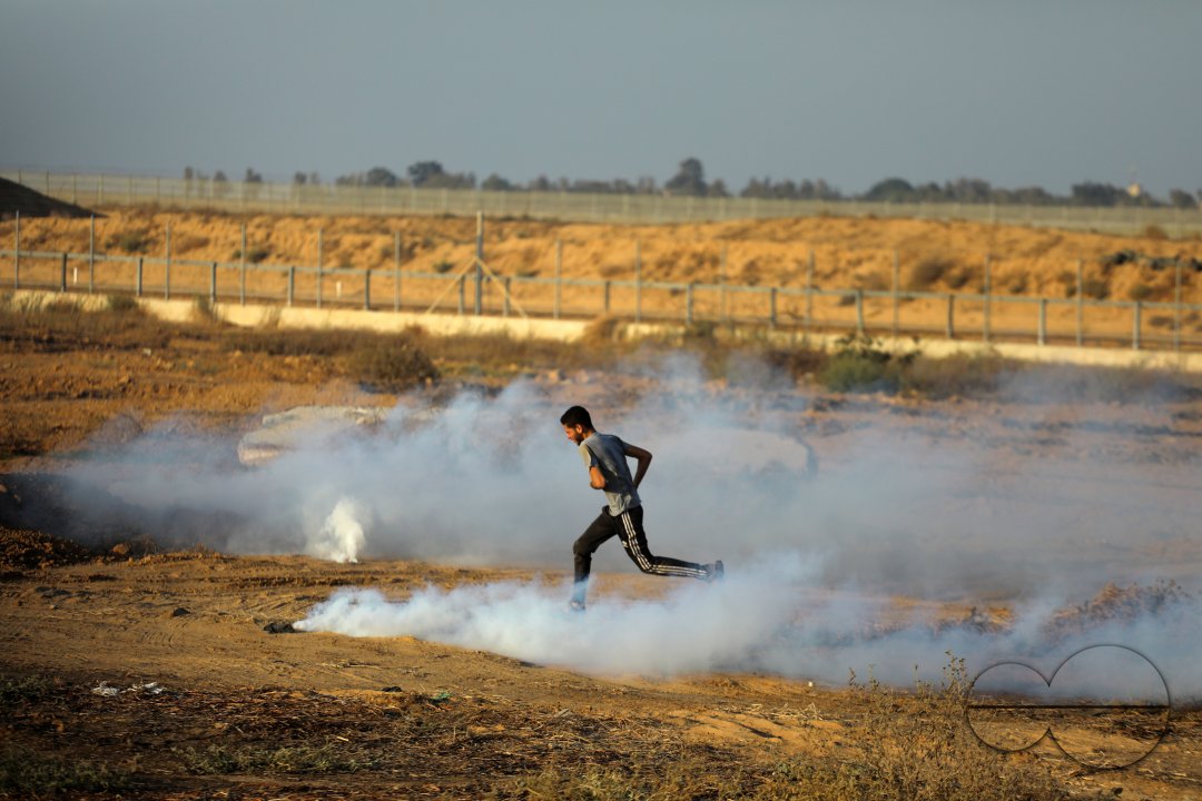 MWC041478