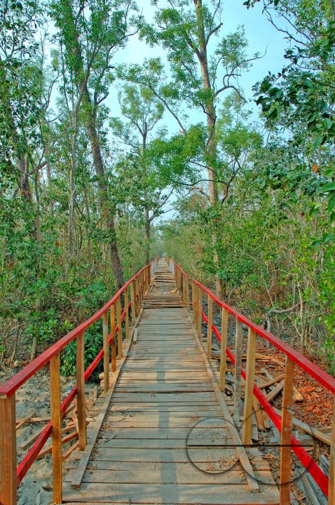 Sundarbans, Khulna, Bangladesh