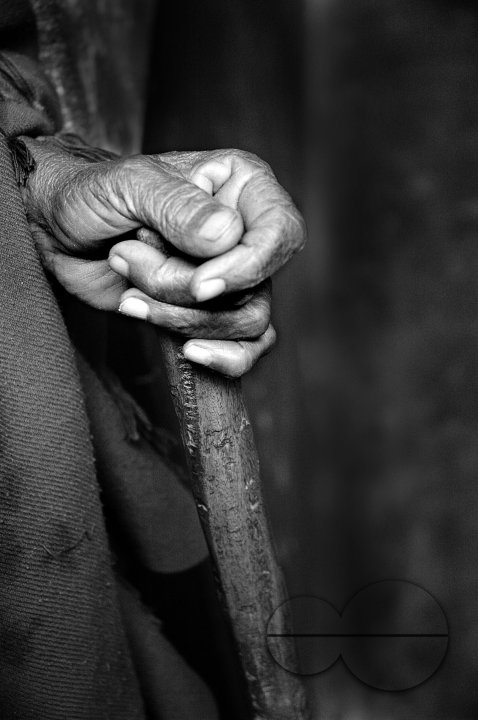 Living Death of India?s Widow