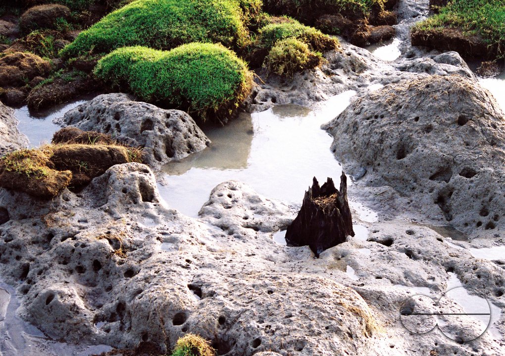 MWC004207