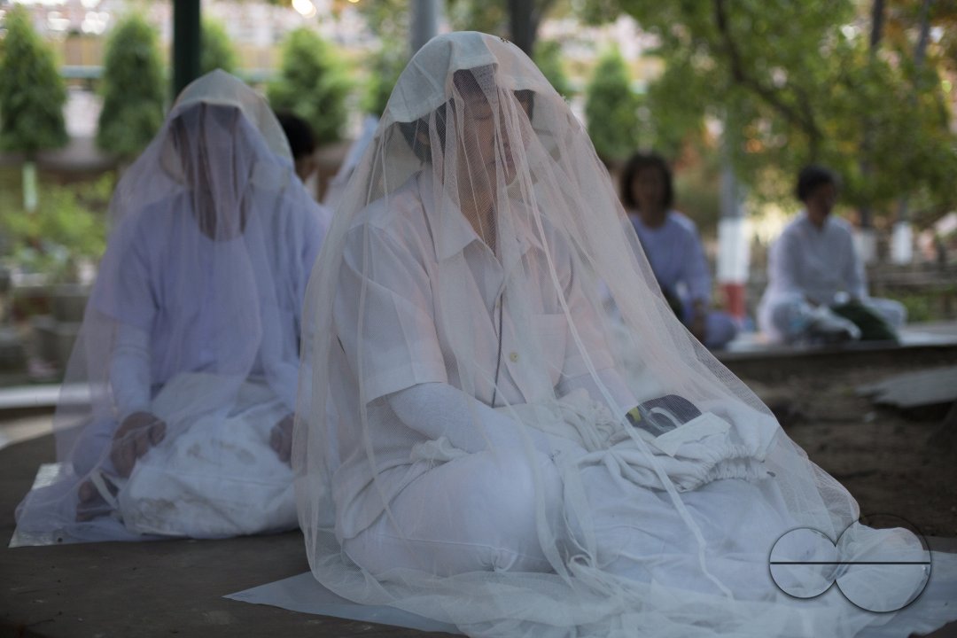 MWC024393