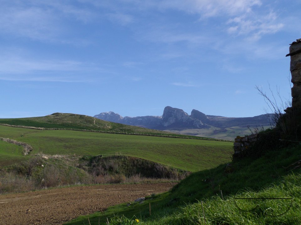 MWC036368