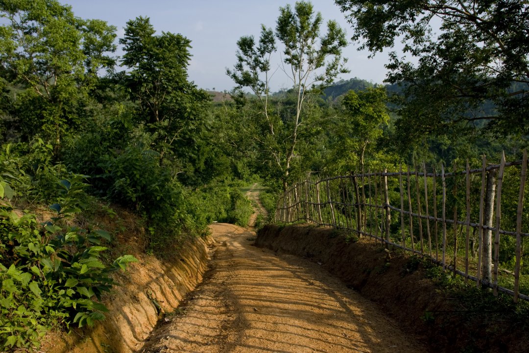 MWC003599