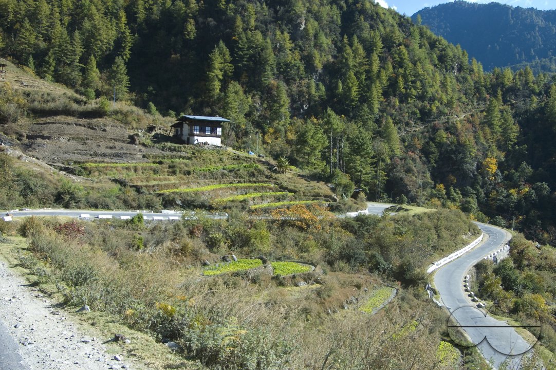 MWC012789