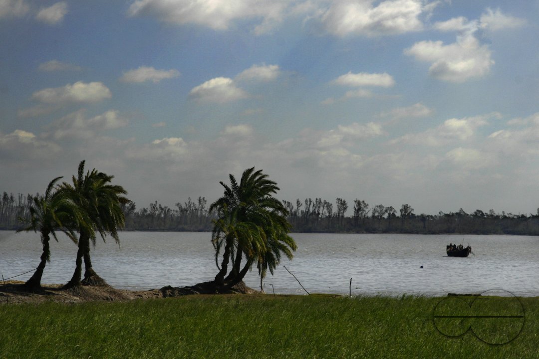 MWC004280