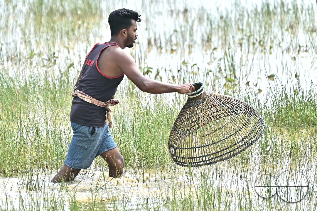 People fishing in a flooded agricultural field using traditional fishing methods in Bishalgarh, 17km away from Agartala