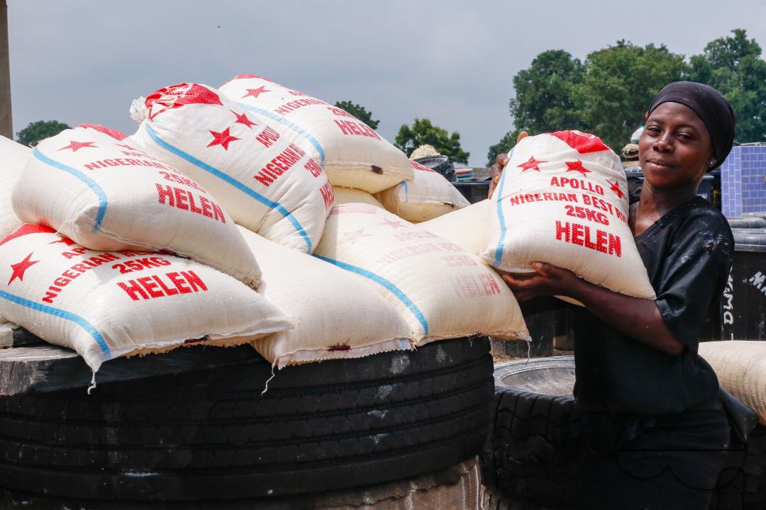 Females in Abuja are struggling and making strides in a local cassava processing factory under difficult conditions to produce flour as they wash out chaff from fermented cassava