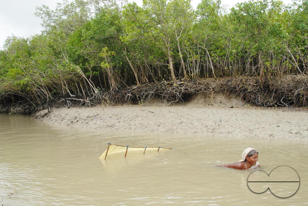 MWC058906