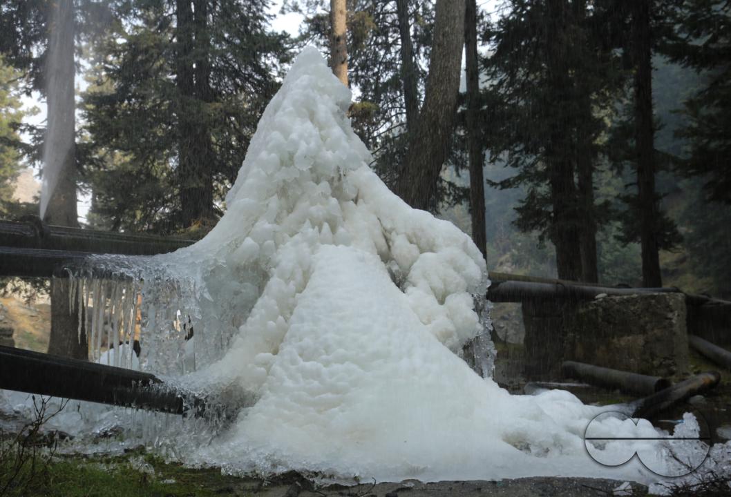 MWC043928