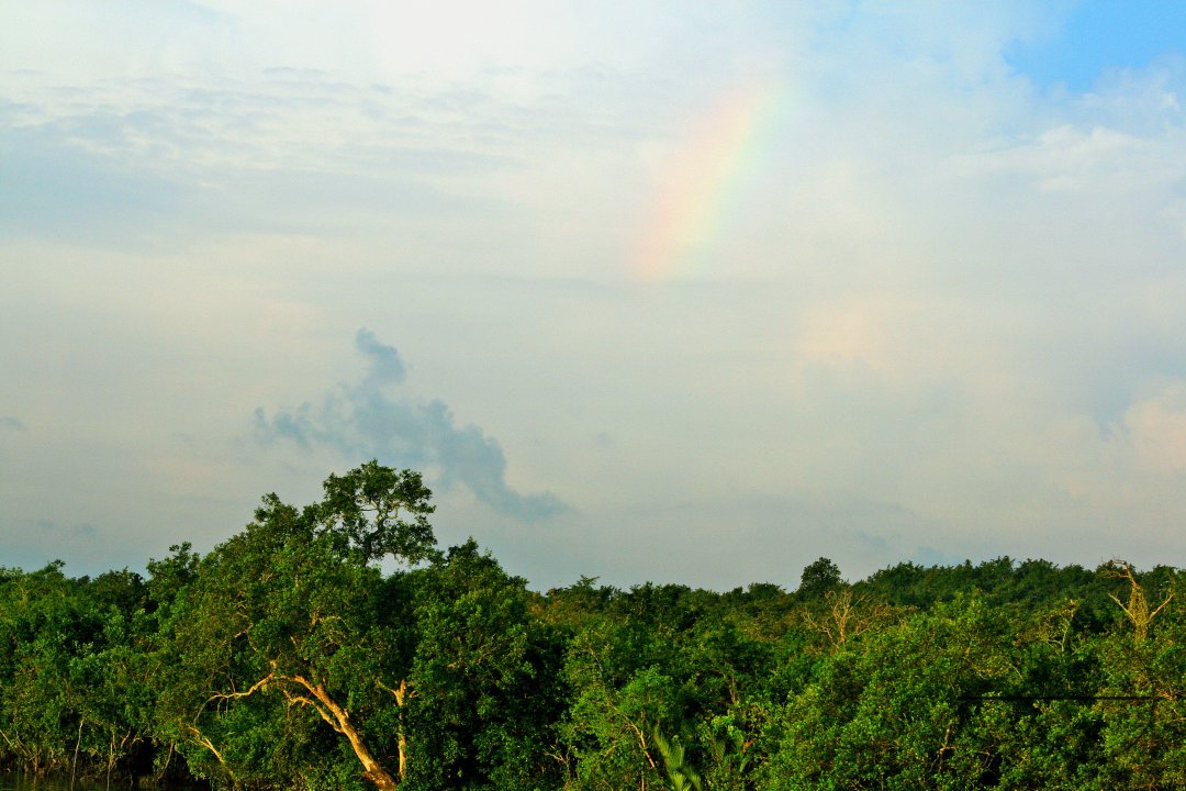 Sundarbans, Khulna