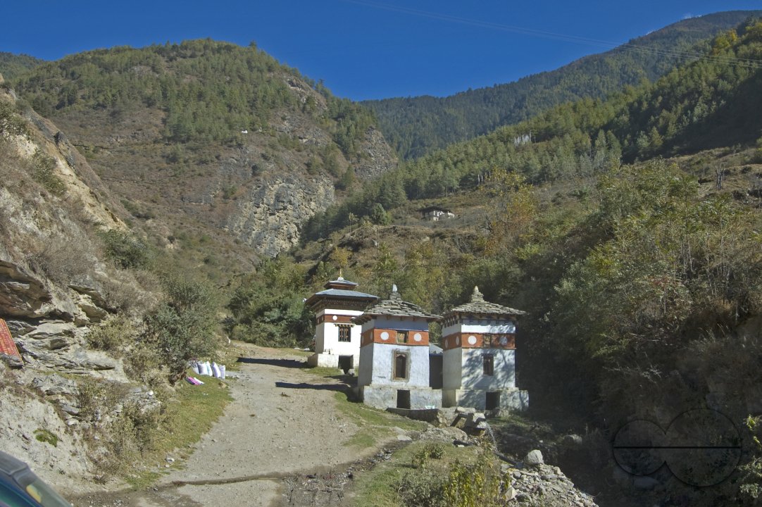 MWC012785