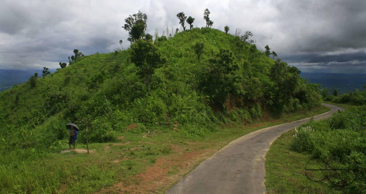 MWC004385
