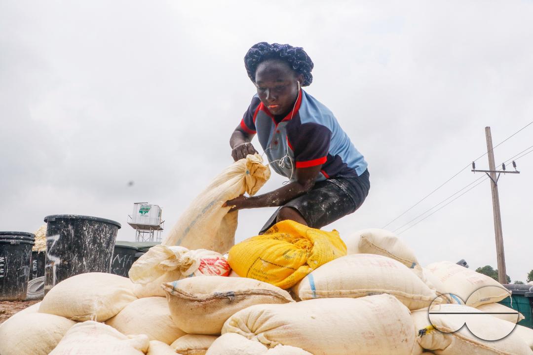 Females in Abuja are struggling and making strides in a local cassava processing factory under difficult conditions to produce flour as they wash out chaff from fermented cassava