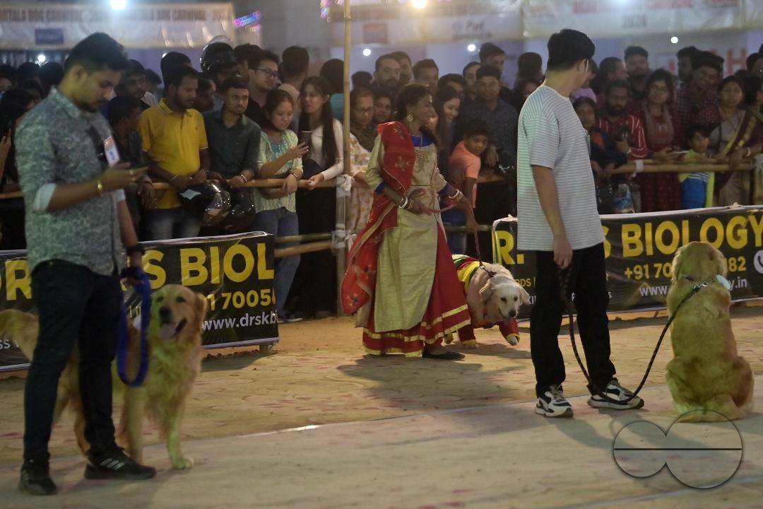 Dogs performing trainers during the Agartala Dog Carnival-2024, organized by Tripura Veterinary Doctors Association & Pawsome (A social organisation) at Agartala