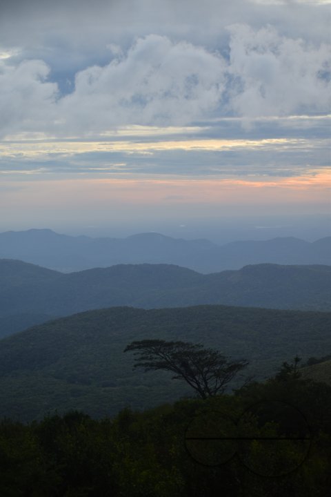 MWC031444