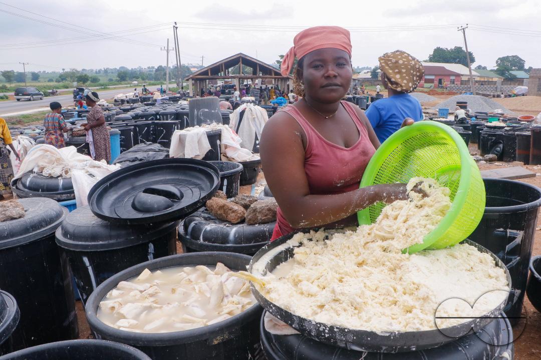 Females in Abuja are struggling and making strides in a local cassava processing factory under difficult conditions to produce flour as they wash out chaff from fermented cassava