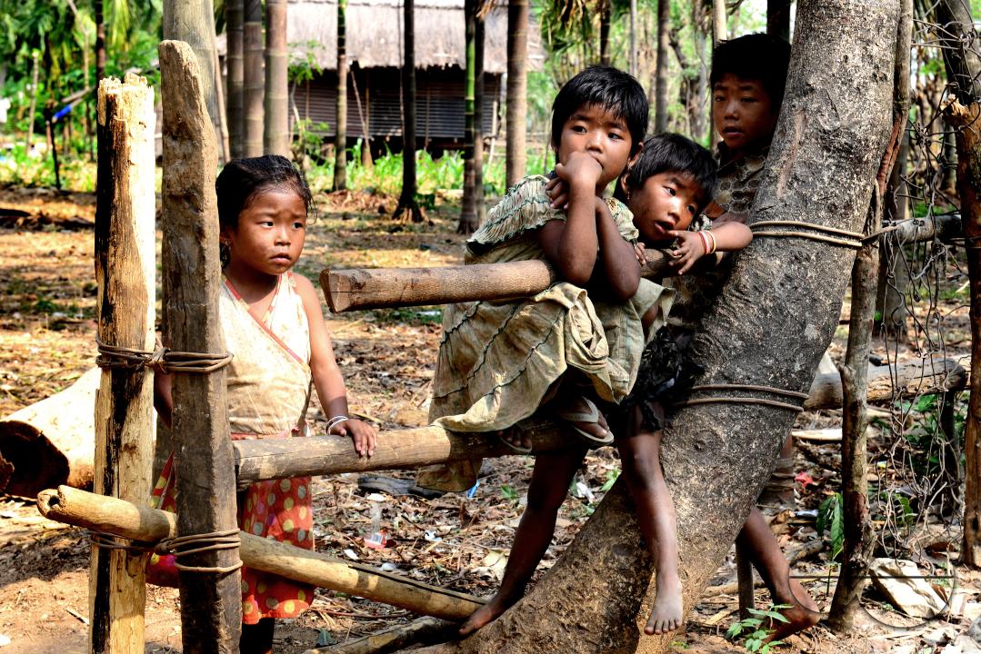 Totos are one of the most primitive communities in the world and this isolated tribal group resides only in Totopara at the foot of the Himalayas just to the borderline between West Bengal and Bhutan