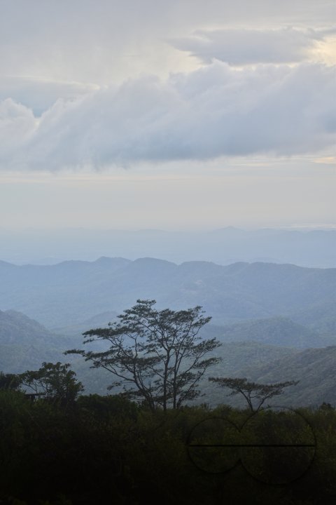 MWC031480