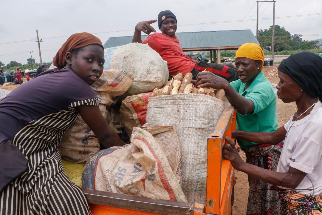 Females in Abuja are struggling and making strides in a local cassava processing factory under difficult conditions to produce flour as they wash out chaff from fermented cassava
