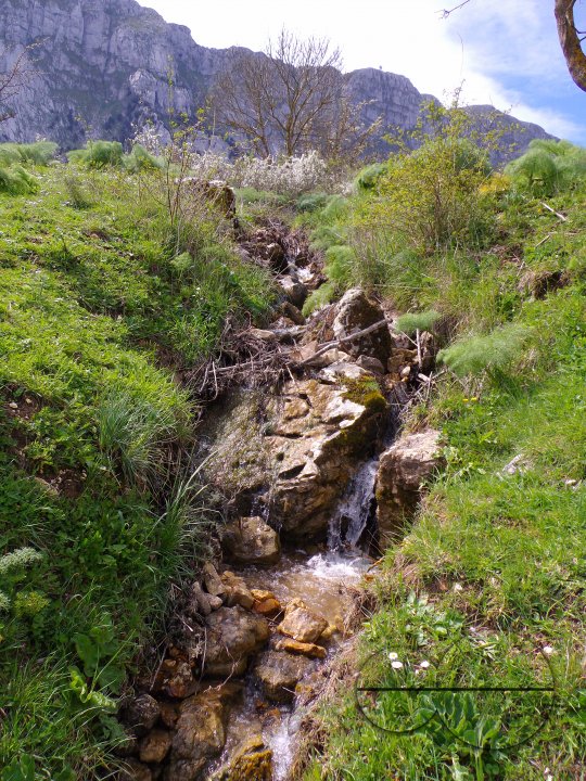 MWC036383