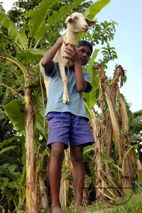Village children
