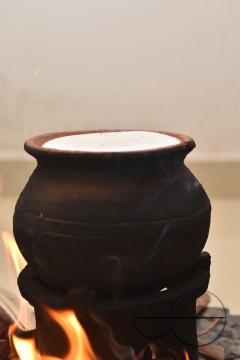 MW154682