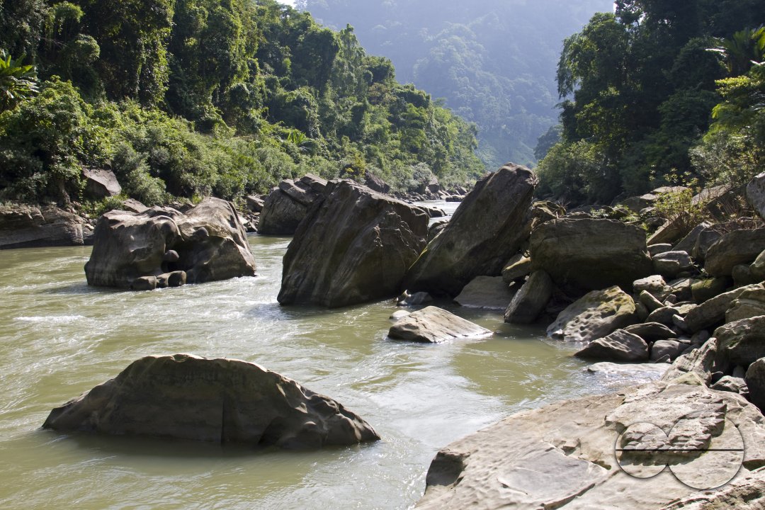 MWC004423