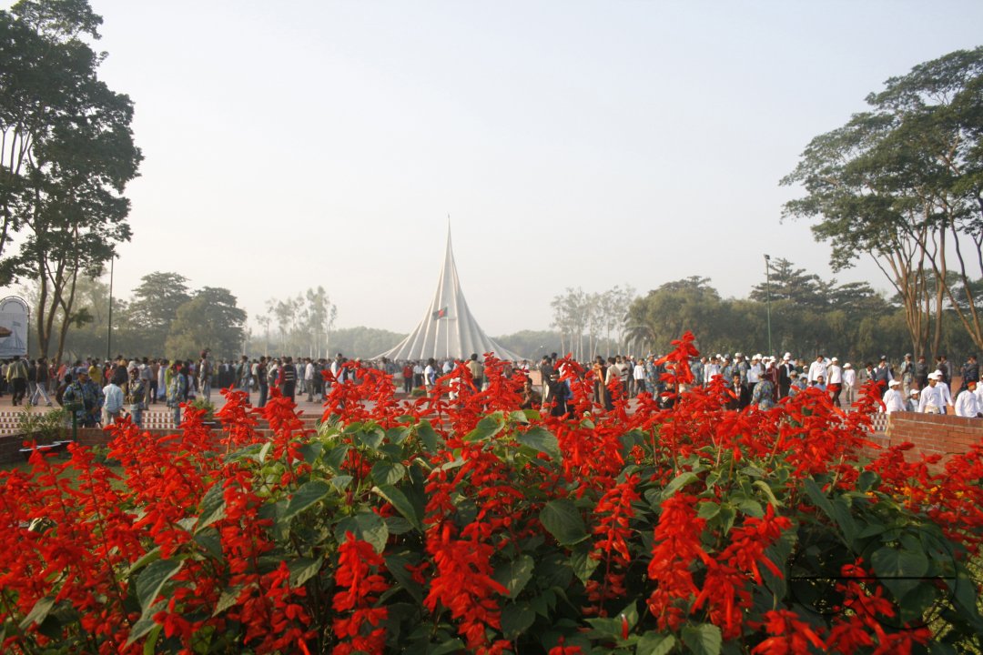 MWC008600