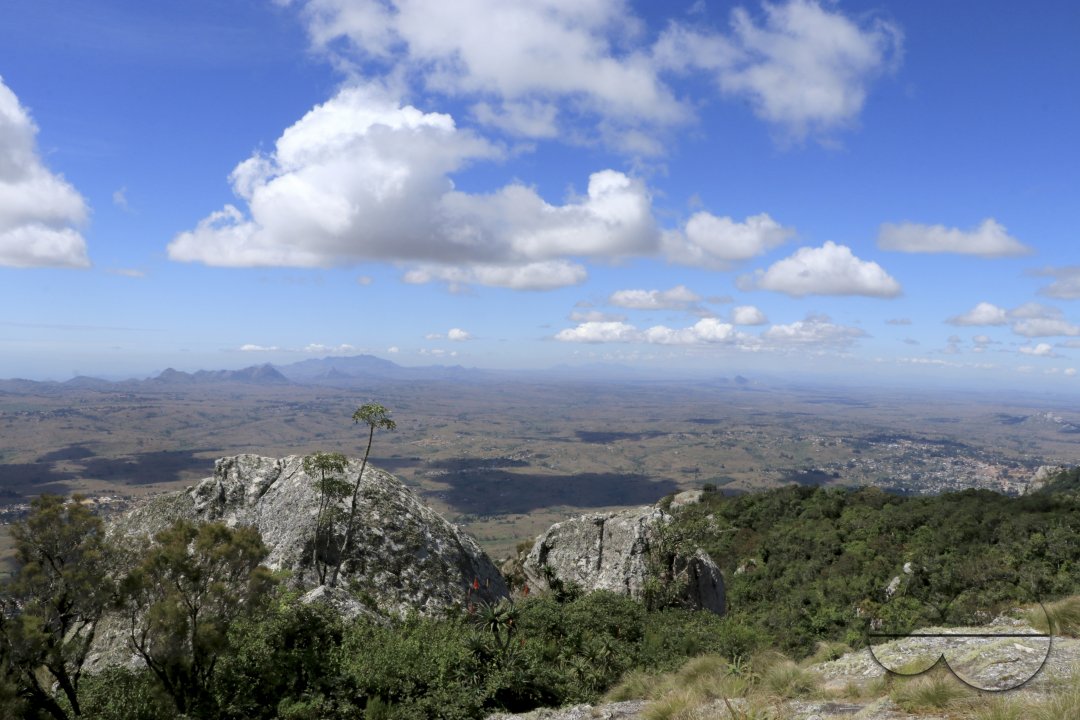 MWC041329