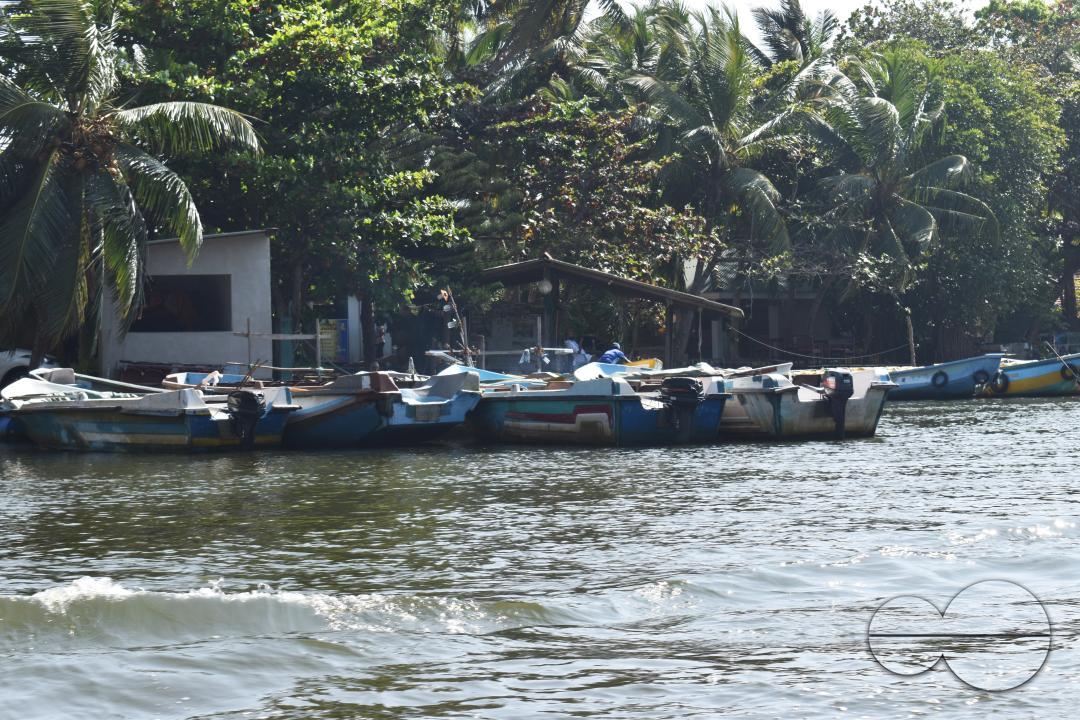 MWC044928