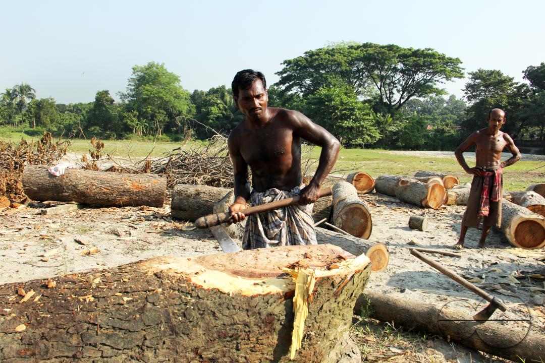 Men in Bangladesh cutting logs