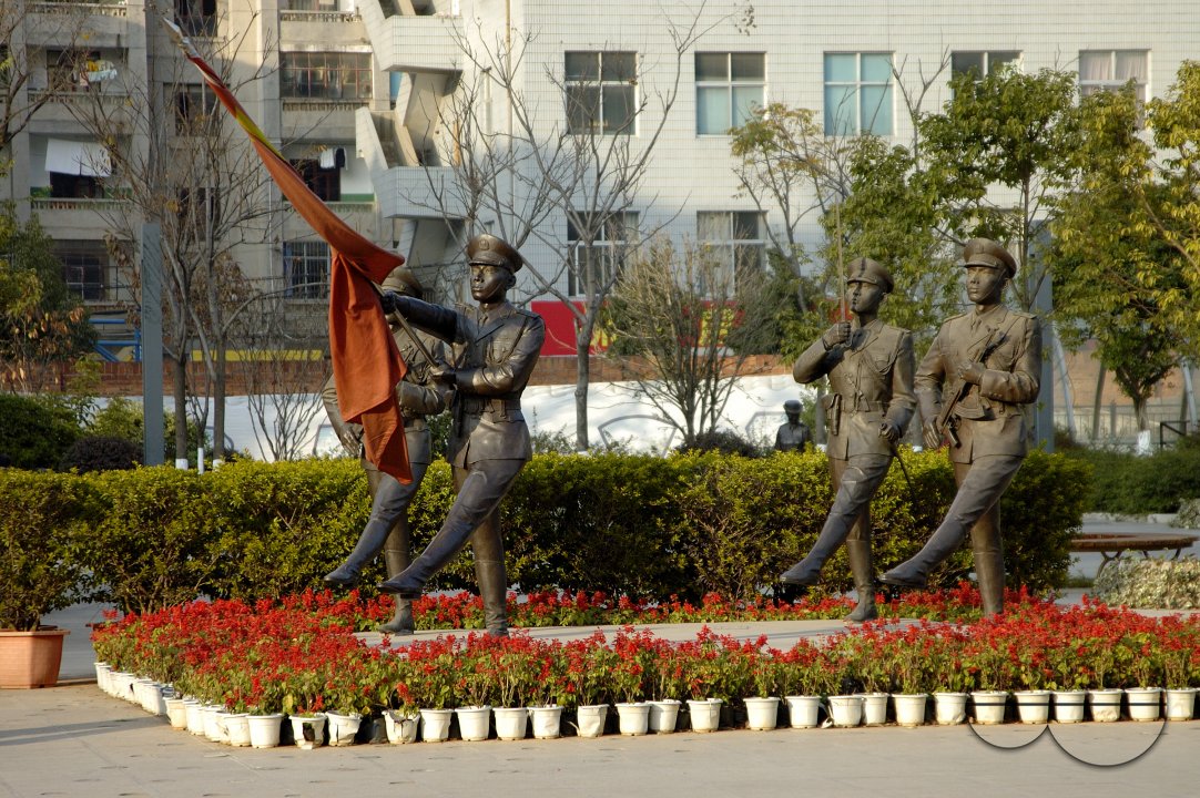MWC008745